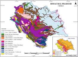 soils in himachal pradesh 